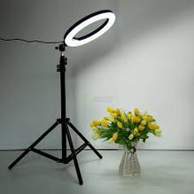 26cm LED Ring Light with Phone Holder for Videos & Makeup